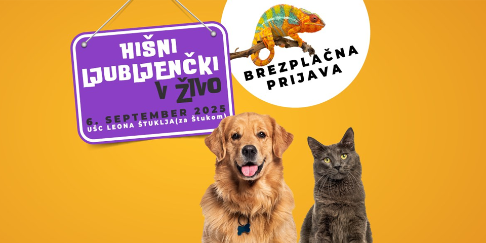 HIŠNI LJUBLJENČKI V ŽIVO